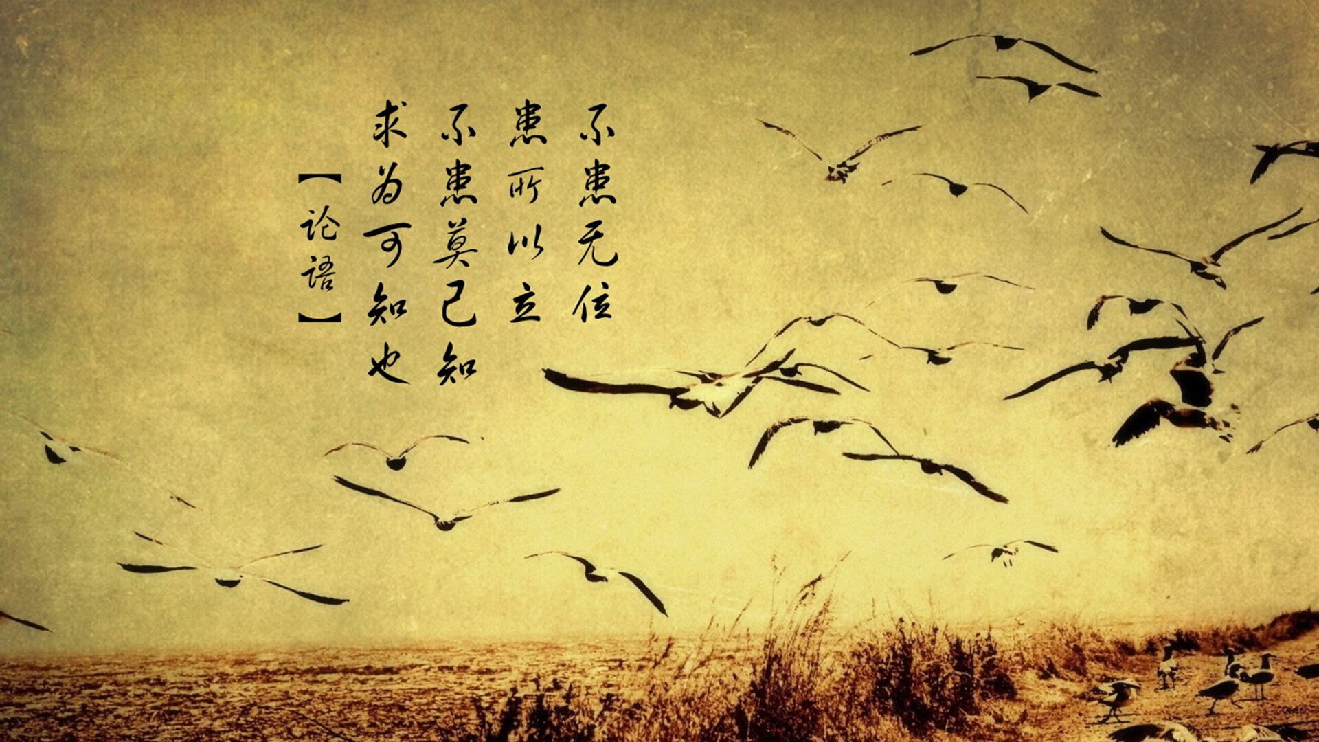 “新时代的经典对决，观众血脉贲张，回味无穷”，时代新篇
