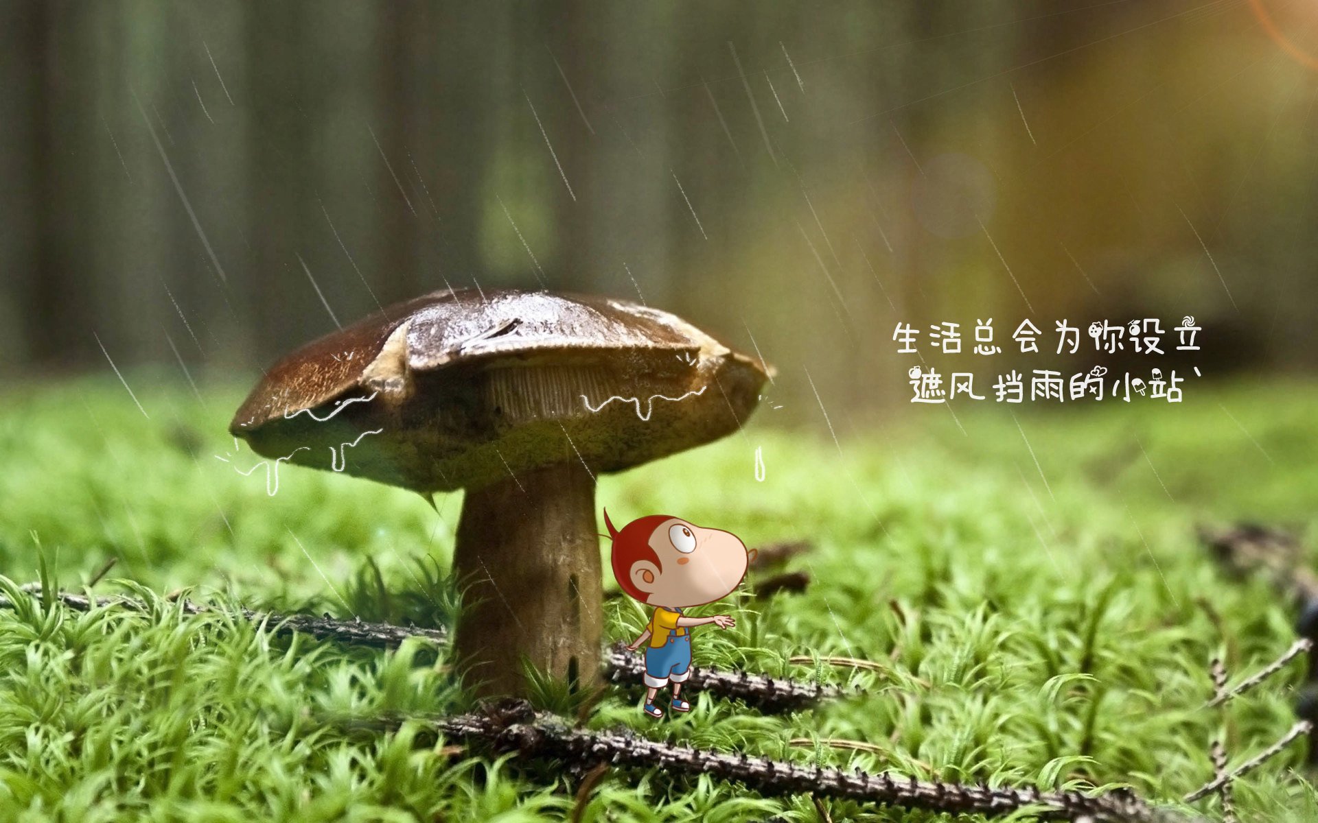冰上碰碰车：趣味运动新体验，冰上碰碰车厂家