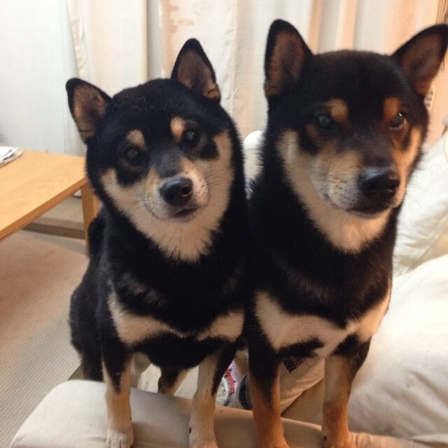 赛场外：F1的环保公益行动，f1 环保