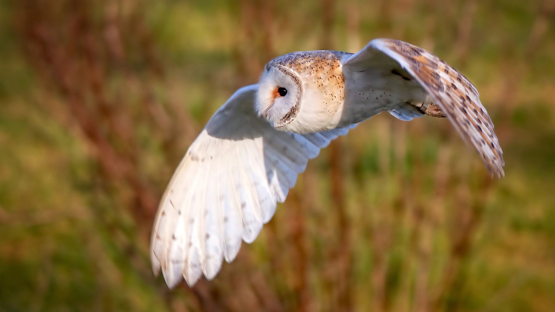 足球场馆安全隐患排查持续开展,确保比赛顺利进行,足球场球场管理制度公示