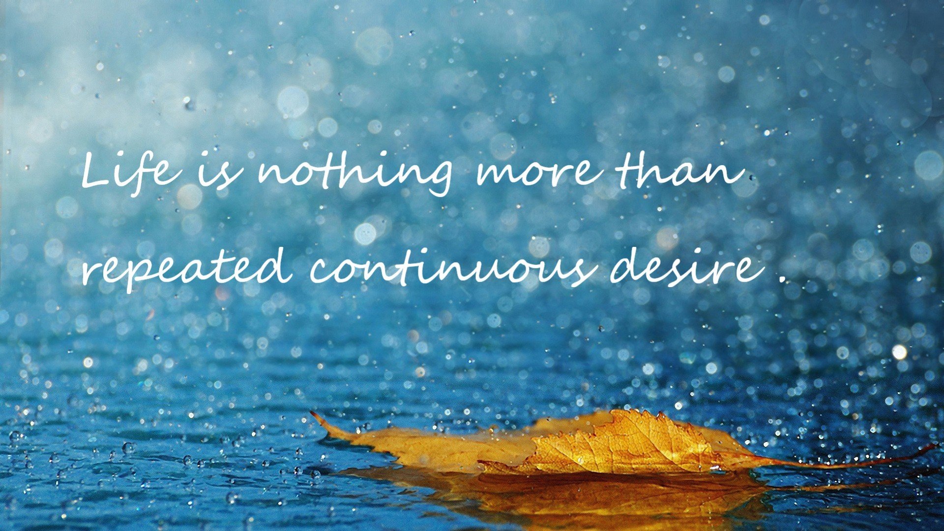 凯尔特人外线手感火热轻取对手,凯尔特人 what hurts more