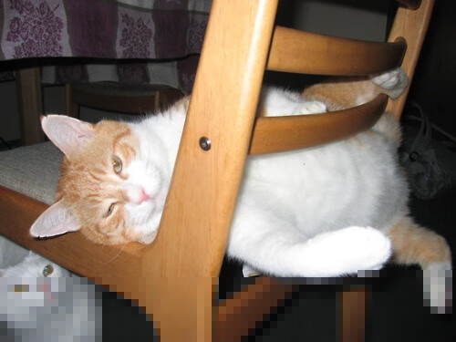 体育赛事对城市文化软实力的提升路径，试论述体育赛事对城市发展的影响