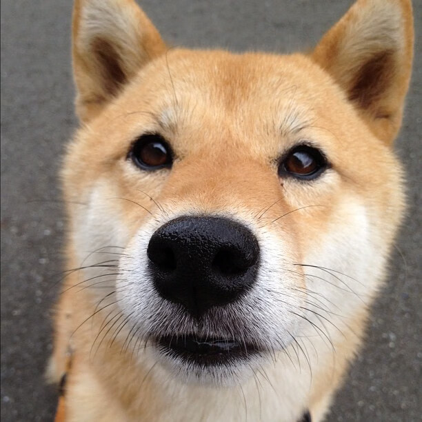 全国青少年体育摄影大赛征稿,记录青春瞬间,体育摄影比赛