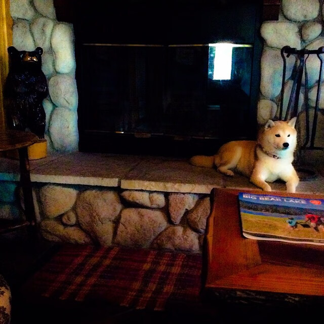 国足反击模式与终结方式匹配报告，足球反击阵型