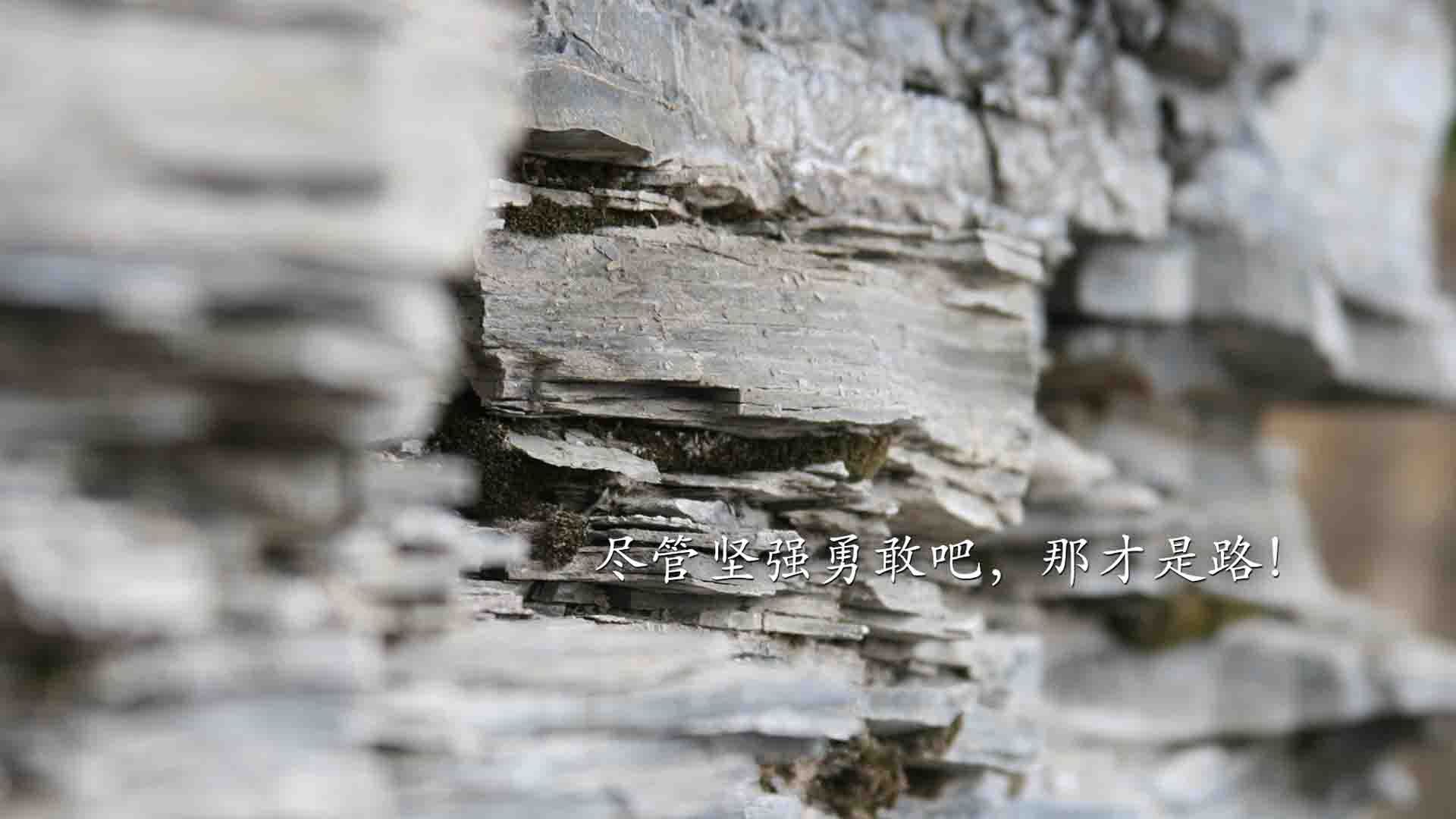 意甲球队结合数据分析优化中场传控,意甲技术统计