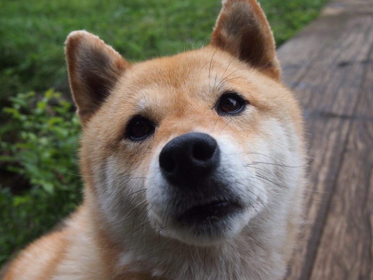 体育新闻中心发布体育新闻伦理与传播规范手册,体育伦理道德