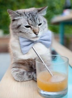 爱游戏体育（AYX）官方APP下载-北京鸭打出防守反击节奏掌控整场比赛，北京鸭赛程