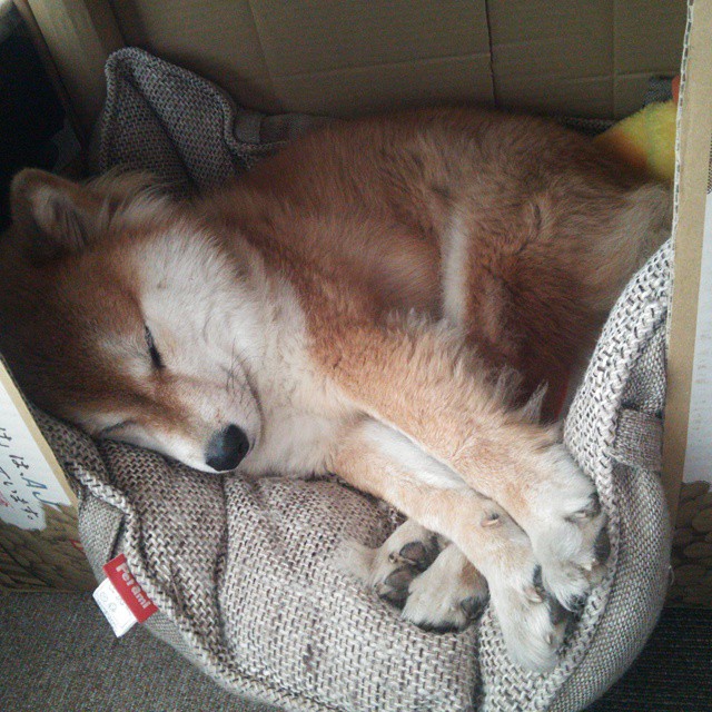 爱游戏综合娱乐-马拉松路线加入城市文化打卡元素，马拉松赛道指引