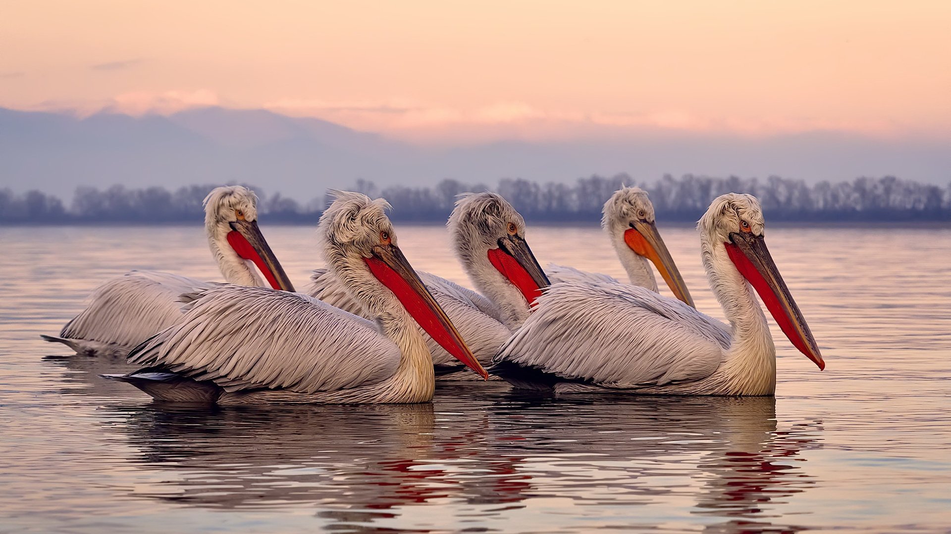 爱游戏娱乐平台-中国足球青少年赛事开设女足专项组别，青少年女足比赛