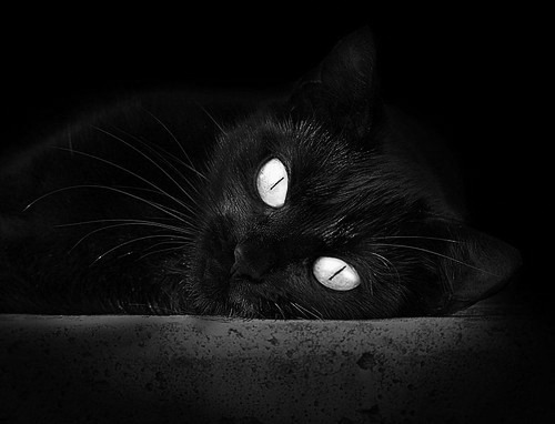 爱游戏在线登录入口-美国队赛后感谢团队协作与支持，美国参赛队