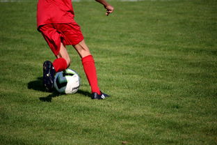 爱游戏综合娱乐-NBA球员技术动作进阶训练，nba球员训练方式