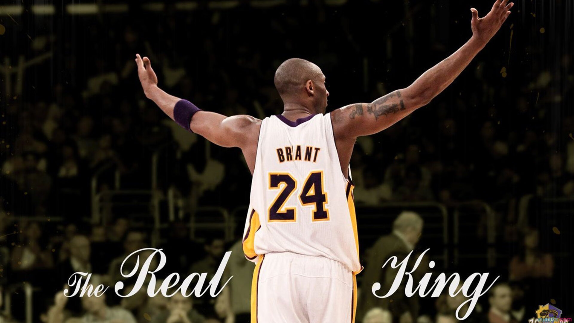 NBA球员竞技状态监测系统的开发,nba球员检测